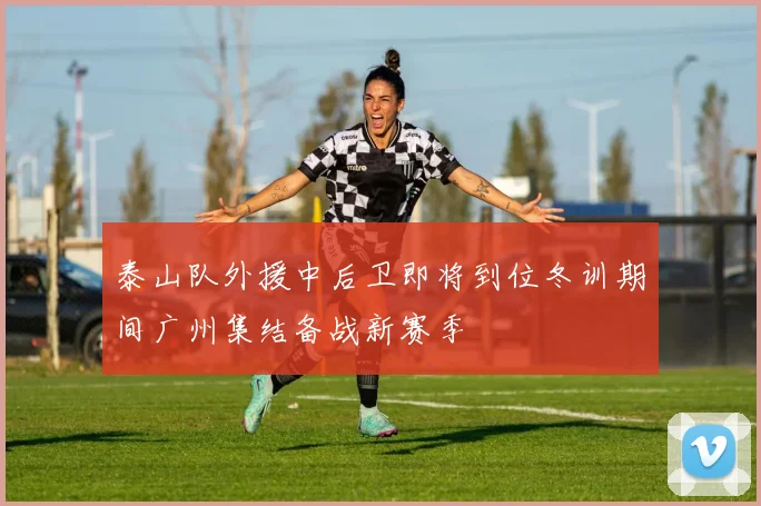 泰山队外援中后卫即将到位冬训期间广州集结备战新赛季