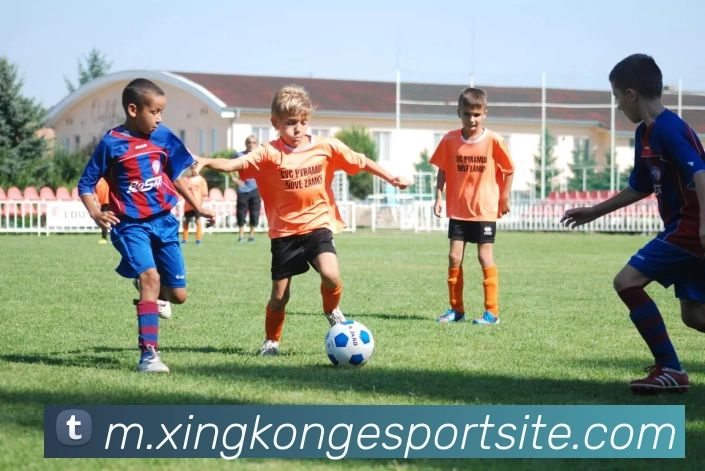 App Interface Preview