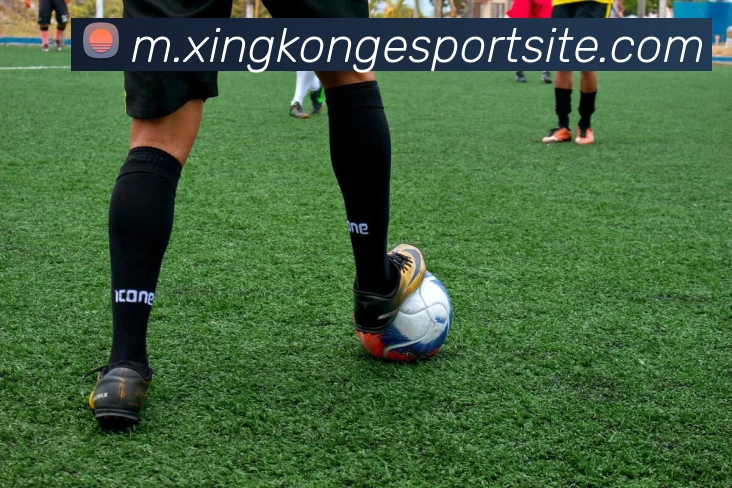 星空电竞APP 封面图